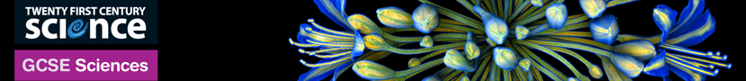 Twenty First Century GCSE Sciences Latest updates